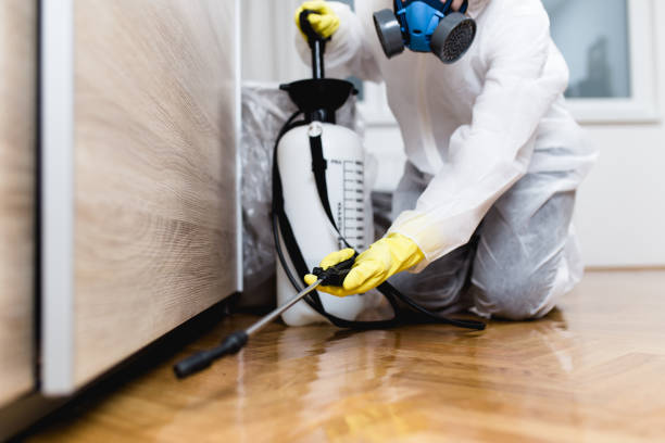 Best Pest Control Near Me  in Blue Ridge, GA