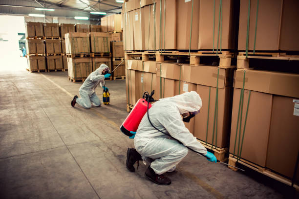Best Residential Pest Control  in Blue Ridge, GA