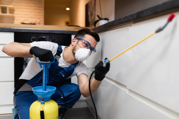 Best Pest Inspection Near Me  in Blue Ridge, GA