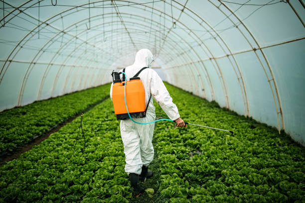 Best Pest Removal Services  in Blue Ridge, GA