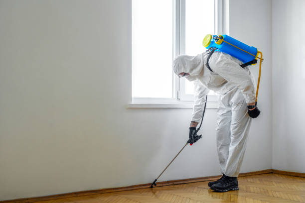 Pest Prevention Services in Blue Ridge, GA