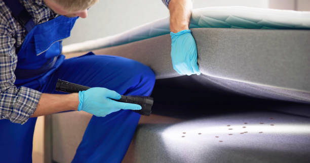 Best Best Pest Control Companies  in Blue Ridge, GA