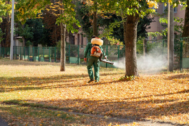 Best Local Pest Control Services  in Blue Ridge, GA