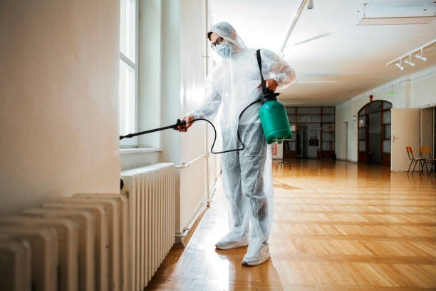 Best Local Pest Control Services  in Blue Ridge, GA